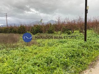 Αγροτεμάχια 11.000 τ.μ. προς πώληση, Κουτσοπόδι-thumb-4