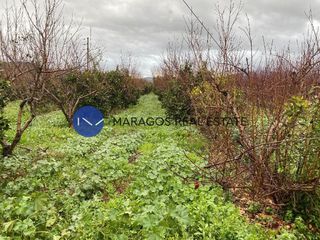 Αγροτεμάχια 11.000 τ.μ. προς πώληση, Κουτσοπόδι-thumb-7
