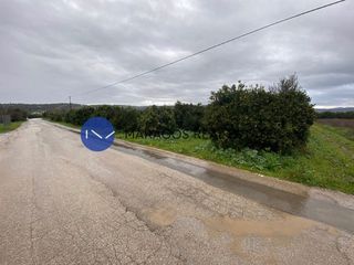 Αγροτεμάχια 11.000 τ.μ. για πώληση