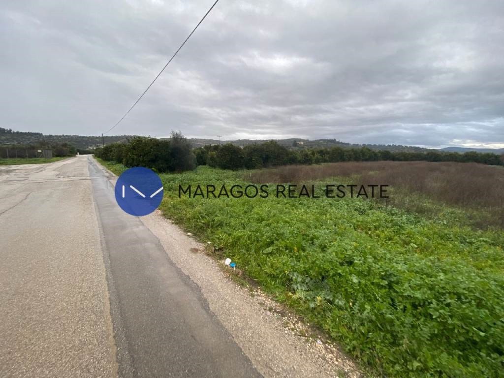 Αγροτεμάχια 11.000 τ.μ. προς πώληση, Κουτσοπόδι