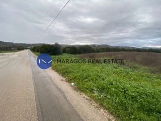 Αγροτεμάχια 11.000 τ.μ. προς πώληση, Κουτσοπόδι-thumb-2