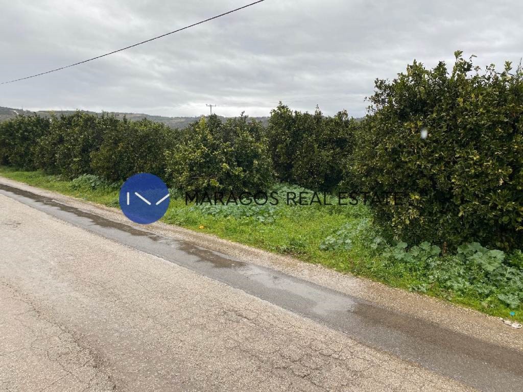 Αγροτεμάχια 11.000 τ.μ. προς πώληση, Κουτσοπόδι