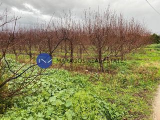 Αγροτεμάχια 11.000 τ.μ. προς πώληση, Κουτσοπόδι-thumb-8