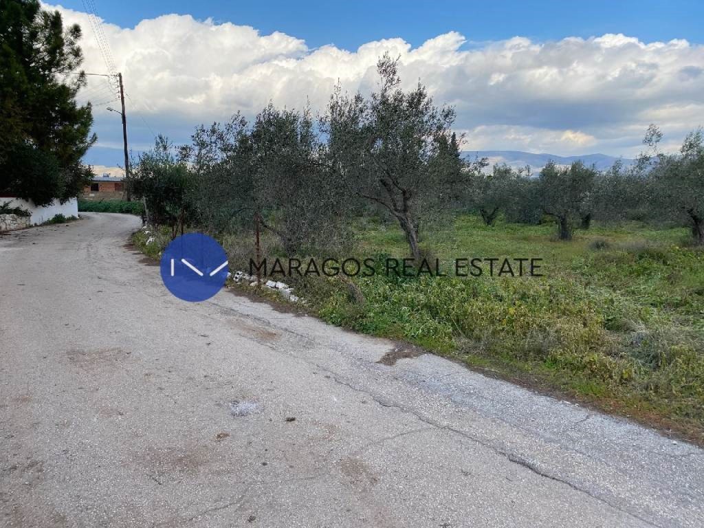 Οικόπεδο 636 τ.μ. πρός πώληση, Αργολίδα, Μιδέα