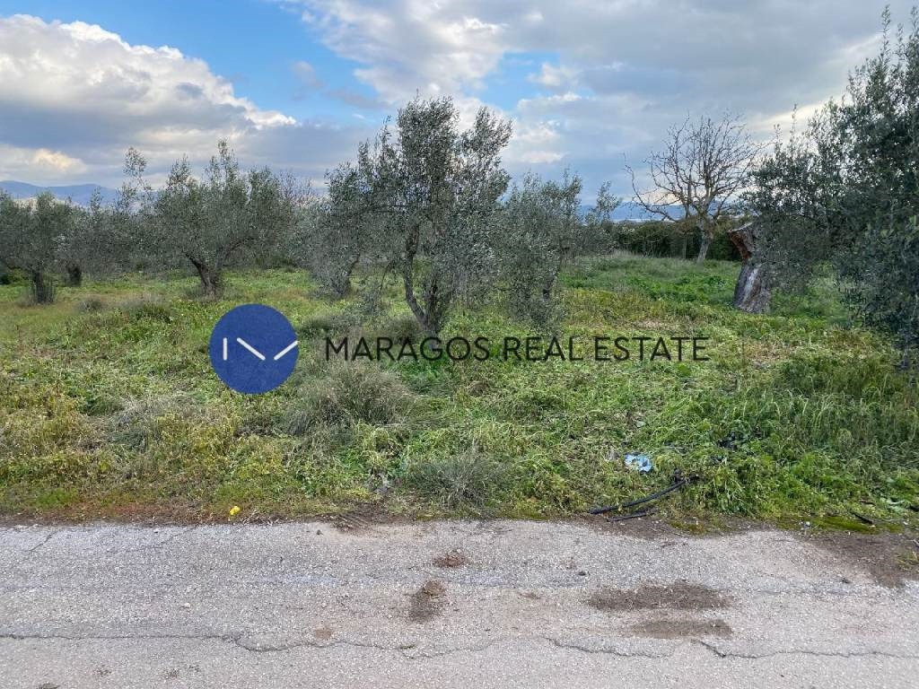 Οικόπεδο 636 τ.μ. πρός πώληση, Αργολίδα, Μιδέα