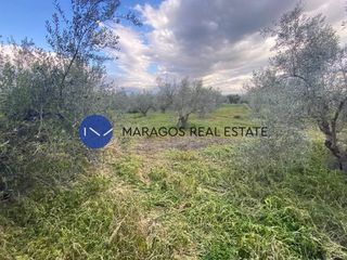 Οικόπεδο 636 τ.μ. πρός πώληση, Αργολίδα, Μιδέα-thumb-6