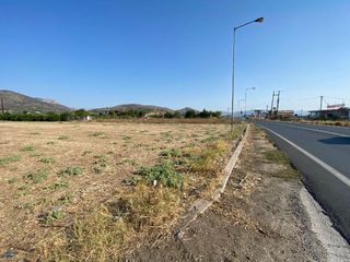 Οικόπεδο 3.500 τ.μ. για πώληση, Αργολίδα, Άργος-thumb-3