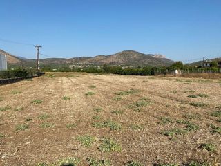 Οικόπεδο 3.500 τ.μ. για πώληση, Αργολίδα, Άργος-thumb-5