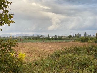 Αγροτεμάχια 6.000 τ.μ. προς πώληση, Κεφαλάρι Άργους-thumb-4