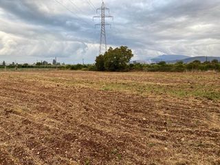 Αγροτεμάχια 6.000 τ.μ. προς πώληση, Κεφαλάρι Άργους-thumb-6