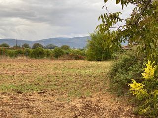 Αγροτεμάχια 6.000 τ.μ. προς πώληση, Κεφαλάρι Άργους-thumb-9
