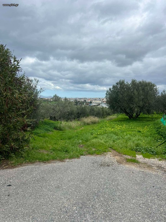 Οικόπεδο 875 τ.μ. προς πώληση, Άγιοι Θεόδωροι Γαζίου