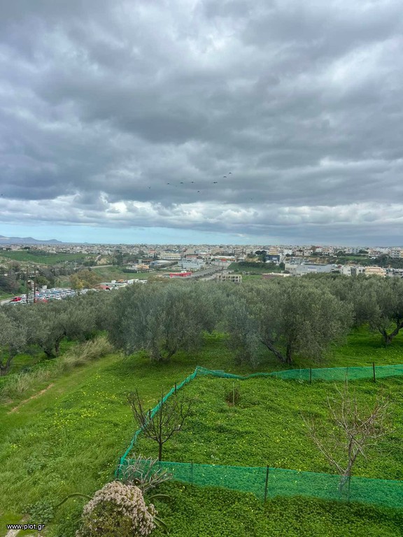 Οικόπεδο 875 τ.μ. προς πώληση, Άγιοι Θεόδωροι Γαζίου