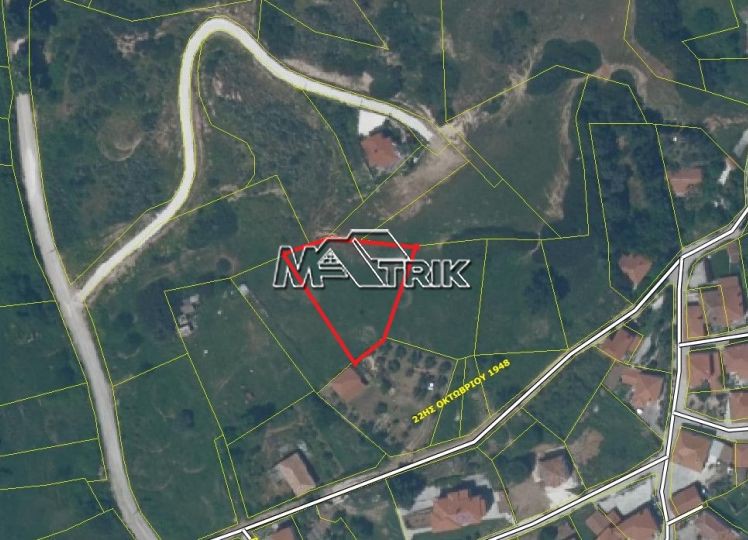 Οικόπεδο 850 τ.μ. προς πώληση, Νικήτη