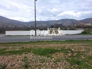 Αγροτεμάχια 1.500 τ.μ. για ενοικίαση