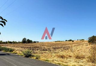 Αγροτεμάχια 2.000 τ.μ. για πώληση