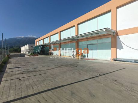 Store 3.000 sqm for sale