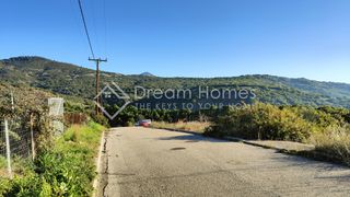 Οικόπεδο 485 τ.μ. για πώληση, Φθιώτιδας, Λαμία-thumb-3
