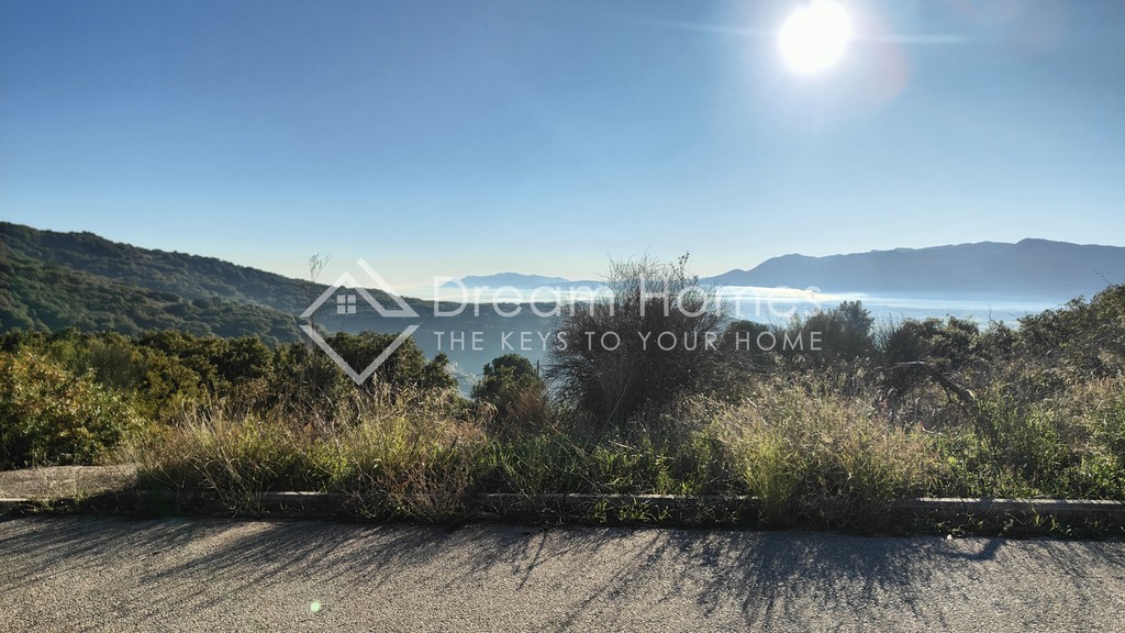 Οικόπεδο 485 τ.μ. για πώληση, Φθιώτιδας, Λαμία