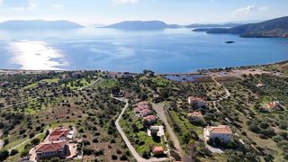 Συγκρότημα διαμερισμάτων 764 τ.μ. για πώληση, Αργολίδα, Ερμιόνη-thumb-6