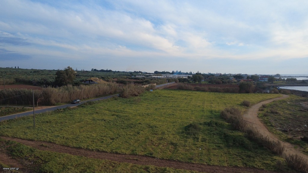 Land plot 9.784 sqm for sale, Messinia, Gargalianoi
