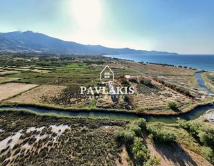 Αγροτεμάχια 8.200 τ.μ. για πώληση