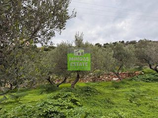 Οικόπεδο 2.665 τ.μ. για πώληση, Ν. Χανίων, Σούδα-thumb-19