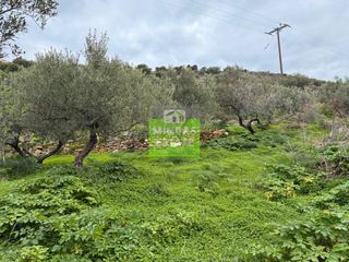 Οικόπεδο 2.665 τ.μ. για πώληση, Ν. Χανίων, Σούδα-thumb-16