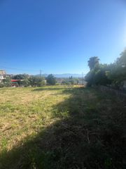 Οικόπεδο 1.025 τ.μ. για πώληση, Φθιώτιδας, Δαφνούσες-thumb-6