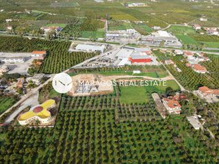 Οικόπεδο 4.500 τ.μ. για πώληση, Αργολίδα, Άργος-thumb-19