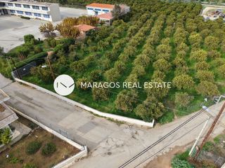 Οικόπεδο 4.500 τ.μ. για πώληση, Αργολίδα, Άργος-thumb-13