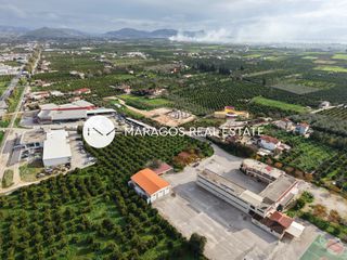 Οικόπεδο 4.500 τ.μ. για πώληση, Αργολίδα, Άργος-thumb-17