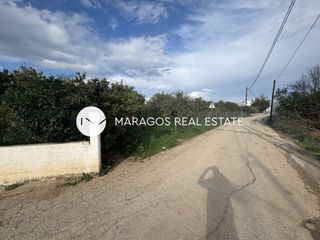 Οικόπεδο 4.500 τ.μ. για πώληση, Αργολίδα, Άργος-thumb-20