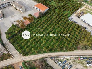 Οικόπεδο 4.500 τ.μ. για πώληση, Αργολίδα, Άργος-thumb-12