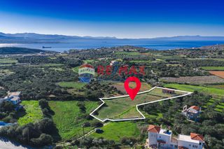 Οικόπεδο 4.586 τ.μ. για πώληση