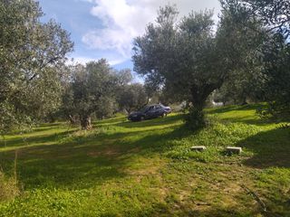 Αγροτεμάχια 10.000 τ.μ. για πώληση, Μεσσηνία, Νέστορας-thumb-8