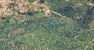 Αγροτεμάχια 10.000 τ.μ. για πώληση, Μεσσηνία, Νέστορας-thumb-17