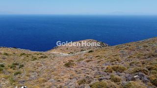 Αγροτεμάχια 4.300 τ.μ. για πώληση