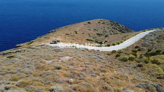 Αγροτεμάχια 4.033 τ.μ. για πώληση