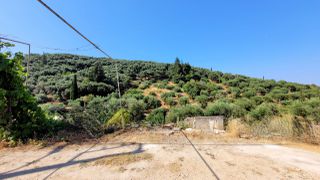 Μονοκατοικία 139 τ.μ. προς πώληση, Θινάλιο-thumb-11