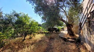 Μονοκατοικία 139 τ.μ. προς πώληση, Θινάλιο-thumb-10