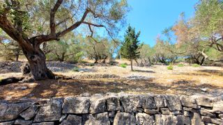 Βίλλα 258 τ.μ. προς πώληση, Μαγαζιά-thumb-18