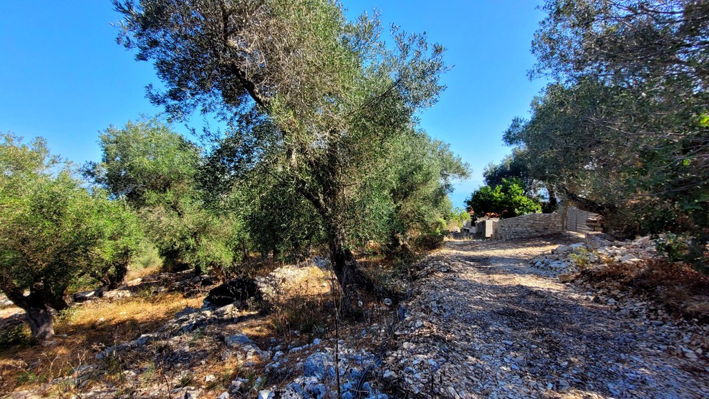 Οικόπεδο 4.454 τ.μ. πρός πώληση, Ν. Κέρκυρας, Παξοί