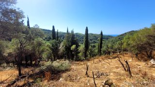 Οικόπεδο 4.049 τ.μ. προς πώληση, Κασσιόπη-thumb-2