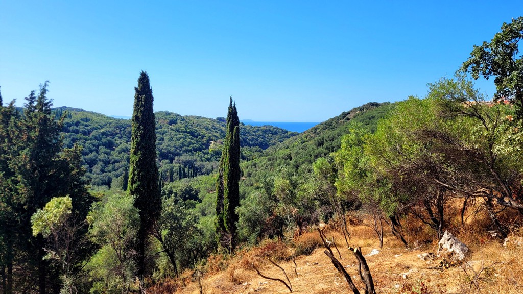 Οικόπεδο 4.049 τ.μ. πρός πώληση, Ν. Κέρκυρας, Κέρκυρα