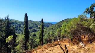 Οικόπεδο 4.049 τ.μ. για πώληση