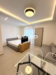 Studio / γκαρσονιέρα 30 τ.μ. για πώληση, Χαλκιδική, Σιθωνία-thumb-24