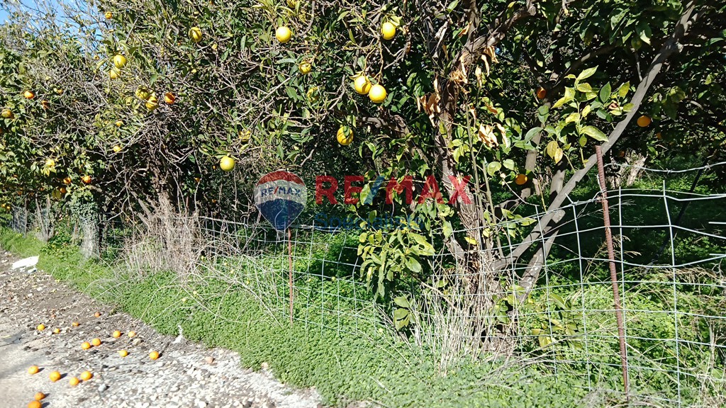 Οικόπεδο 4.113 τ.μ. προς πώληση, Βουκολιές