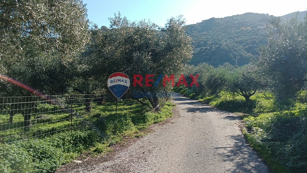 Οικόπεδο 4.113 τ.μ. προς πώληση, Βουκολιές