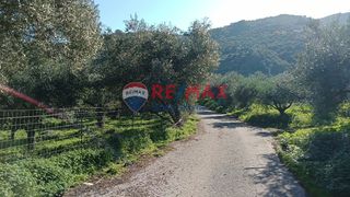 Οικόπεδο 4.113 τ.μ. για πώληση